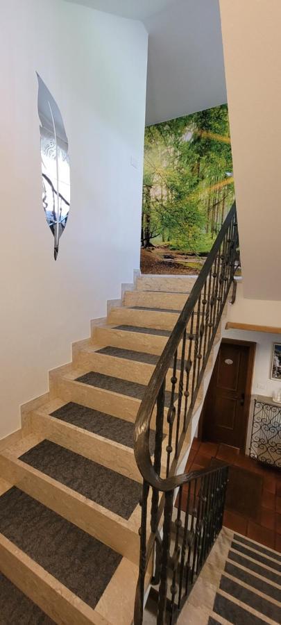 Waldhof Apartment Мелтина Екстериор снимка